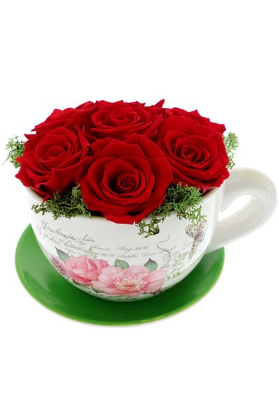 GiftExpress Arrangement with Red Cryogenic Roses