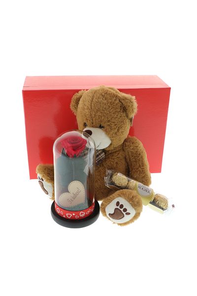 GiftExpress Gift set with teddy bear and cryogenic rose I love you
