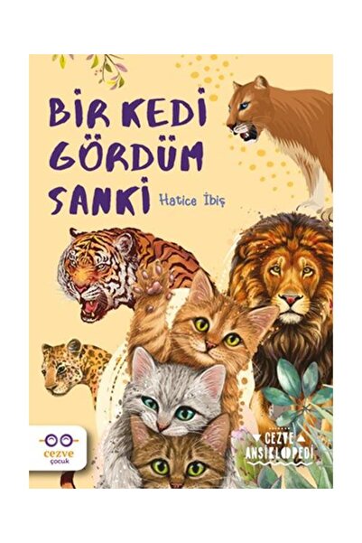 Cezve Çocuk Bir Kedi Gördüm Sanki / / Hatice İbiş