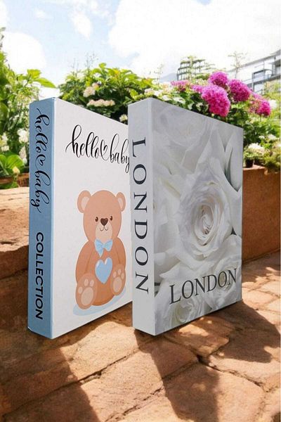 BayCazip Decorative Book Look Box Set of 2 Decorative Book Looking Box