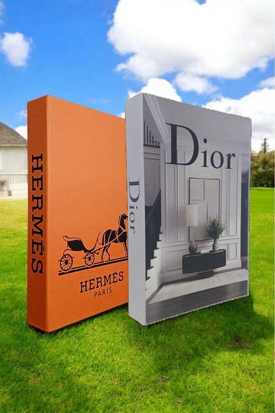 BayCazip Decorative Book Look Box Set of 2 Decorative Book Looking Box