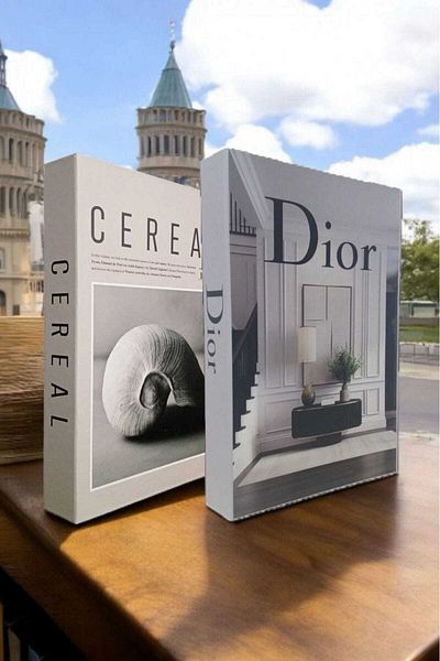 BayCazip Decorative Book Look Box Set of 2 Decorative Book Looking Box