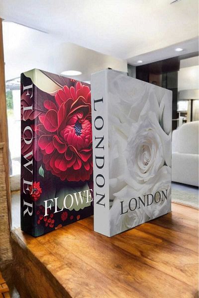 BayCazip Decorative Book Look Box Set of 2 Decorative Book Looking Box
