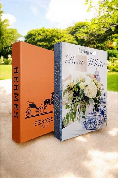 BayCazip Decorative Book Look Box Set of 2 Decorative Book Looking Box