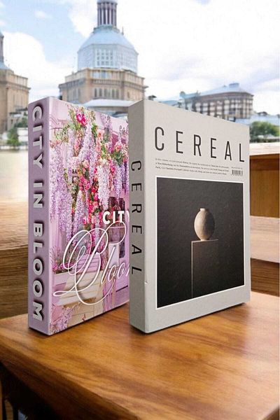 BayCazip Decorative Book Look Box Set of 2 Decorative Book Looking Box