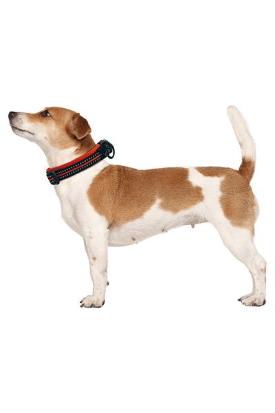 M-PETS Reflective Hiking Neck Collar - Black (S) 10817699