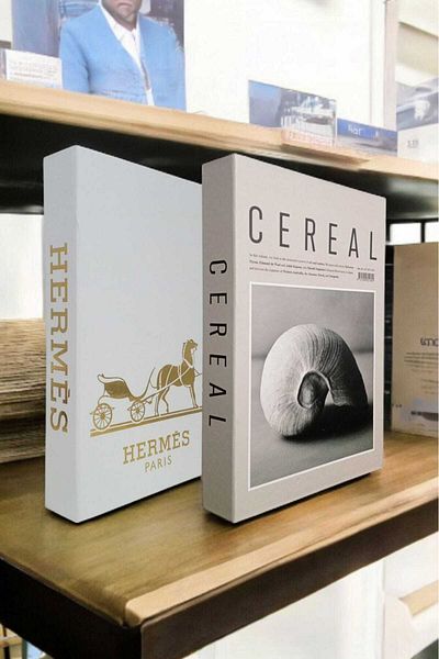 BayCazip Decorative Book Look Box Set of 2 Decorative Book Looking Box