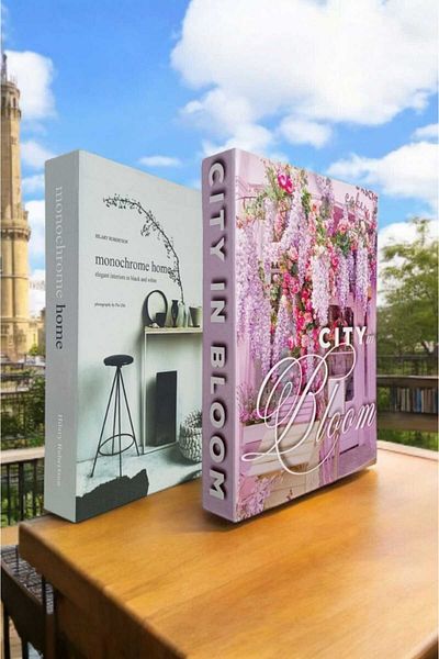 BayCazip Decorative Book Look Box Set of 2 Decorative Book Looking Box