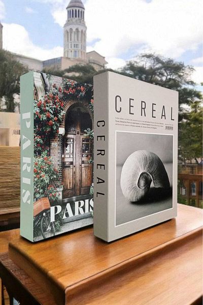 BayCazip Decorative Book Look Box Set of 2 Decorative Book Looking Box