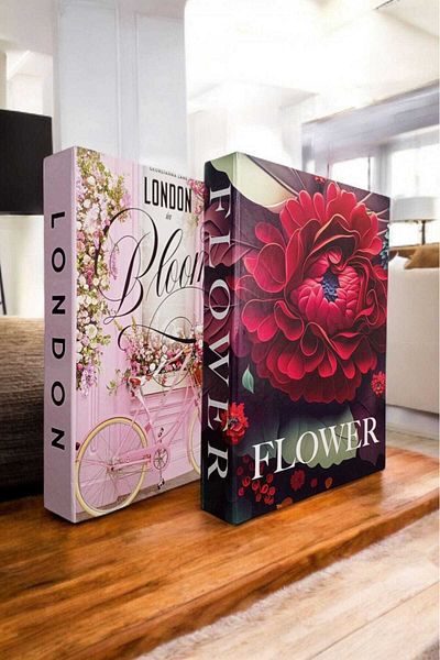 BayCazip Decorative Book Look Box Set of 2 Decorative Book Looking Box
