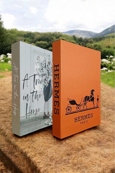 BayCazip Decorative Book Look Box Set of 2 Decorative Book Looking Box