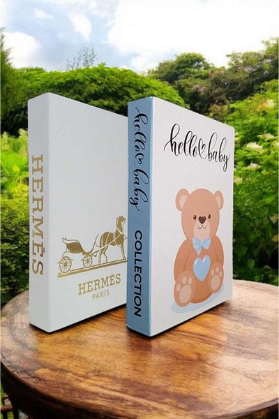 BayCazip Decorative Book Look Box Set of 2 Decorative Book Looking Box