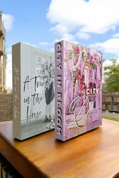 BayCazip Decorative Book Look Box Set of 2 Decorative Book Looking Box