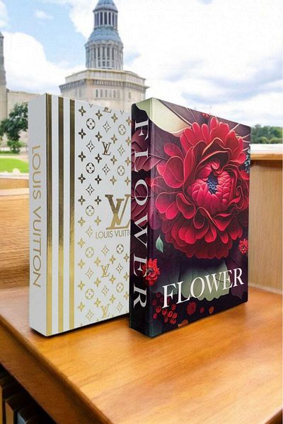 BayCazip Decorative Book Look Box Set of 2 Decorative Book Looking Box