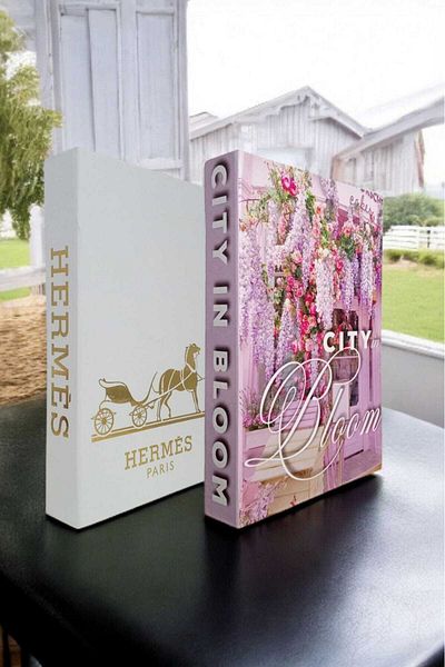 BayCazip Decorative Book Look Box Set of 2 Decorative Book Looking Box