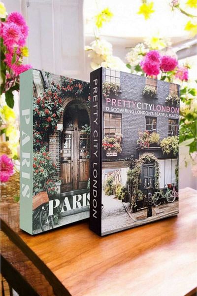 BayCazip Decorative Book Look Box Set of 2 Decorative Book Looking Box