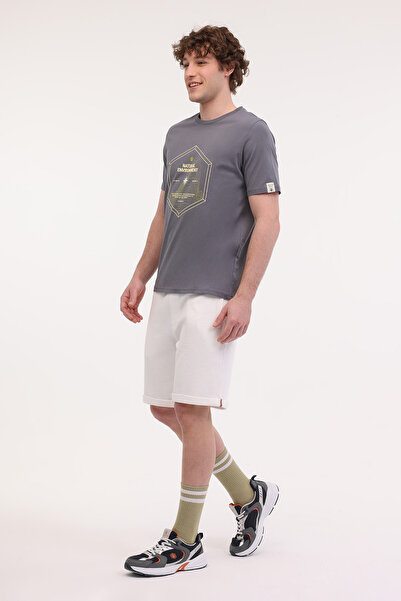 lumberjack ml Emıl 11trv19 5fx Γκρι ανδρικό κοντομάνικο μπλουζάκι