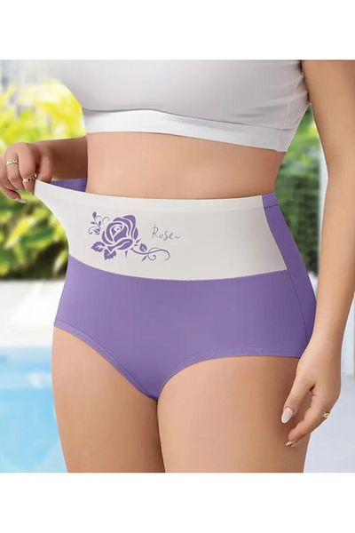 BUSYET Rose Series 2Pcs Women's Cotton Panties Elevated Waist Briefs Soft, Comfortable to Wear