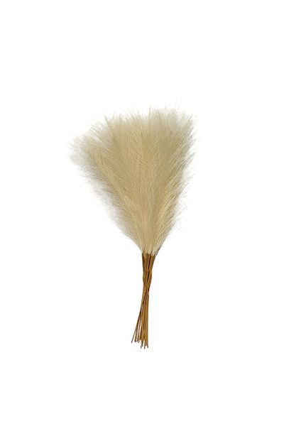 Choice Beige 55CM 10PCS Fluffy Pampas Grass Boho Decor Flower Fake Plant Reed Simulated Wedding Party Home