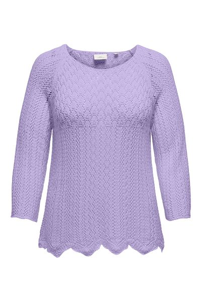 Only Carmakoma Strickpullover CARNOLA Strickpullover