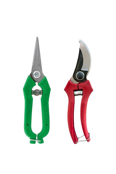 ByKurt Curve Vineyard Pruning Shears 20cm and Fruit Picking Scissors 19cm for Grape Strawberry Citrus
