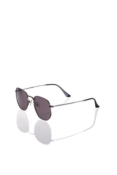 AR COLLECTİON Ar Collection Men Metal Polarized Sunglasses Ar2203 C2