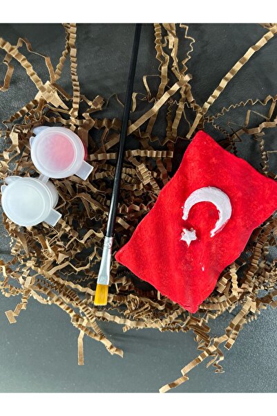 KMK Türk Bayrağı Dalgalı Desen 3d Tasarı Boyama Seti 10’lu (BOYA VE FIRÇA SET...