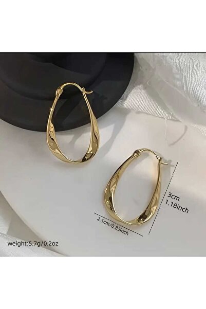 Bacoss Elegant Möbiüs Tasarım Halka Küpe ( Bc-1195 )