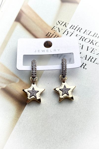 roshel Steel Gold Color Model Zircon Stone Earrings