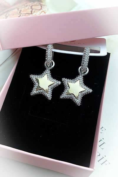 roshel Steel Gold Color Model Zircon Stone Earrings