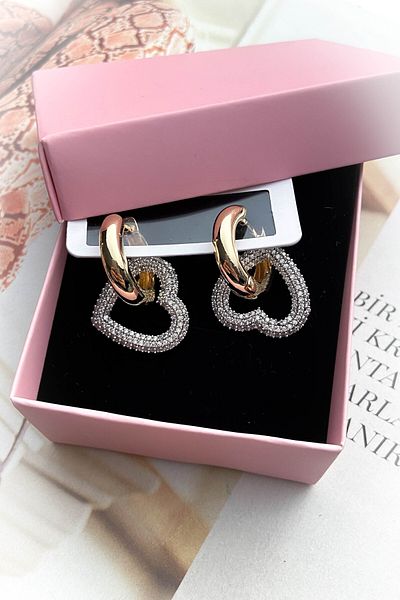 roshel Steel Gold Color Model Zircon Stone Earrings