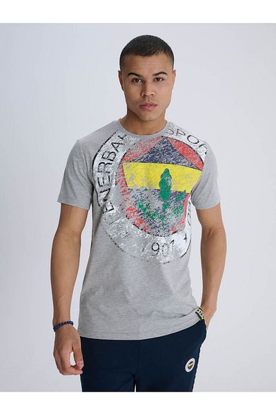 Fenerium Fenerbahçe Grau Melange Tribüne 6 Farbe Logo Herren-T-Shirt