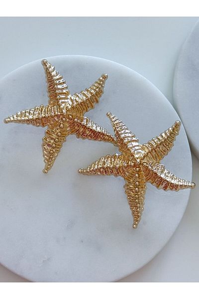 CHARMLUCKY Steel Starfish Earrings