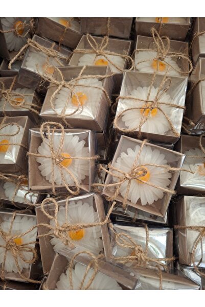 Zeyn 25 adet Papatya mum Dağıtmalık kına düğün nişan sünnet nikah özel gün