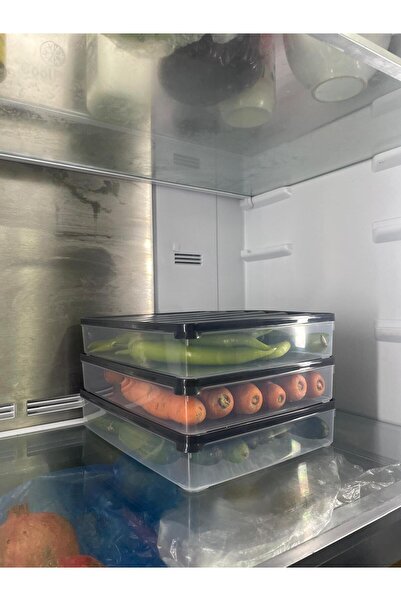 Tercih Home Set of 4 Freshbox Microwave and Diffracted Suitable Storage Container