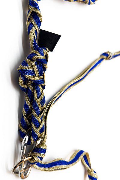 PETSWUU Blue Glitter Dog Hands Free Running and Walking Walking Strap Collar
