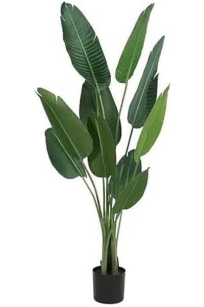 MAPLE HOME DECORATION Maple Home Fake Plant Tree Artificial Plant Faux Tree Banana Leaf Birds of Paradise Indoor (180cm)
