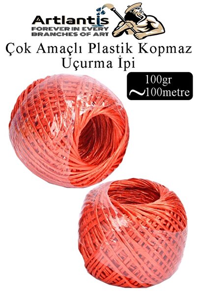 Artlantis Çok Amaçlı Plastik Kopmaz Uçurtma İpi Çamaşır İpi 2 Adet Renkli 100...