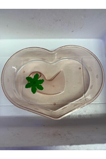 Meç Kaplumbağa Bahçesi (Kalp) [32x23x7h] [Krem]