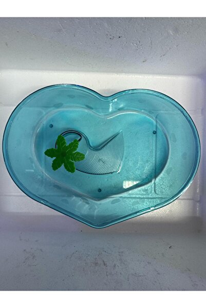 Meç Kaplumbağa Bahçesi (Kalp) [32x23x7h] [Mavi]