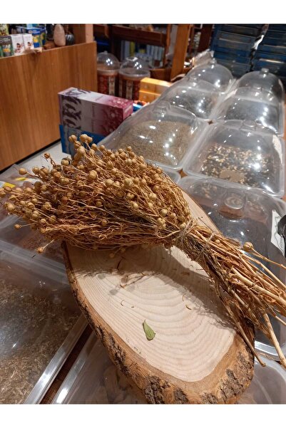 nk organik باذنجان باذنجان باذنجان 1 قطعة