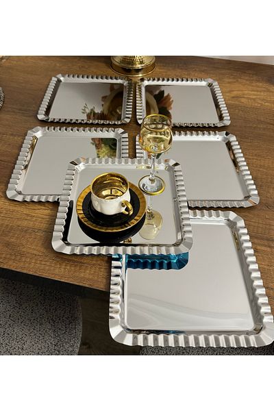 Elzemm store Stainless Steel 6 Pieces Square Portioned Model Serving and Presentation Tray