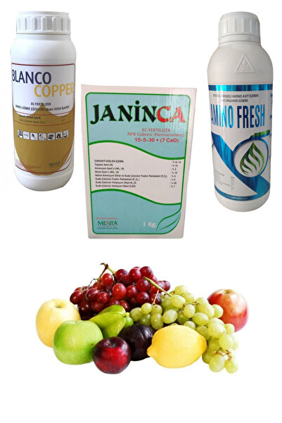 Blanco Zeytin ve Ceviz Meyve Ağacı Yaprak Gübresi 3'lü Seti