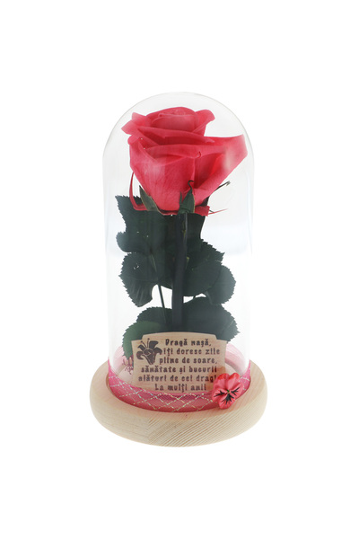 GiftExpress Trandafir Criogenat Cadou pentru Nasa