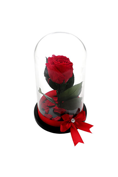 GiftExpress Trandafir Criogenat Rosu in Cupola