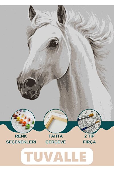 Tuvalle Asaletin Atı Sayılarla Boyama Seti, Hobi Seti, 40X50 Tablo, Fırça Boy...