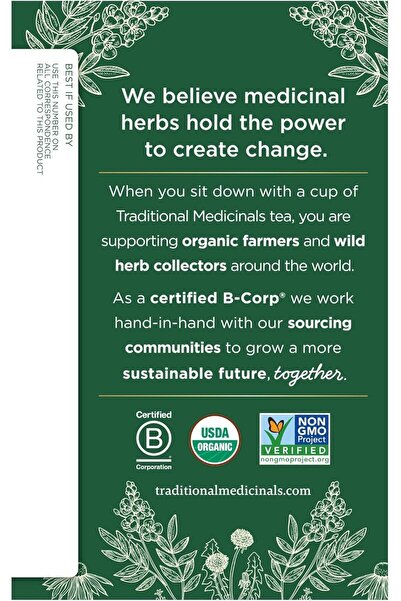 TRADITIONAL MEDICINALS Turmeric with Meadowsweet and Ginger, 16 Teabags