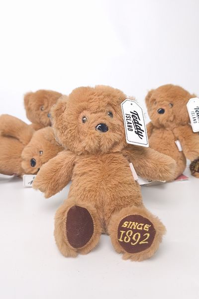 Ecrou Teddy Island Plush Bear 18 cm Brown