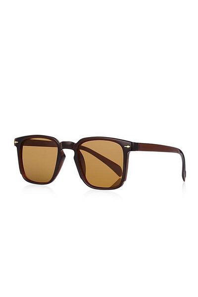 Aqua Di Polo 1987 نظارات شمسية للجنسين باللون البني Apsi 001907 --55 إيكارتمان