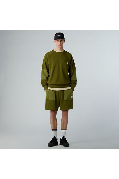 THE NORTH FACE Terry Regular Men's Green Shorts